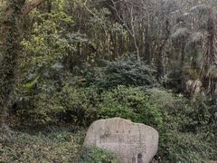 -苏州上方山国家森林公园