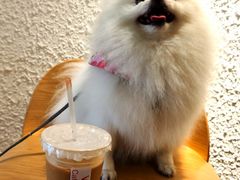 -Cafe on warm(丹霞店)
