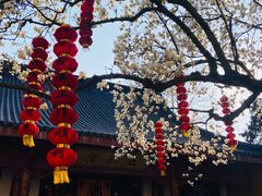 -杭州上天竺法喜讲寺