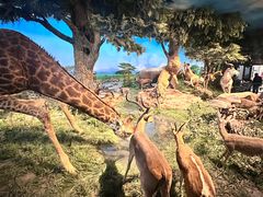 -国家自然博物馆