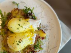 土豆饼炖牛肉班尼迪克蛋-the rug 飞毯 (朝阳公园店)