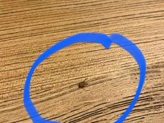 -隐泉之语日式料理(王府中环店)