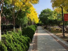 -南翠屏公园