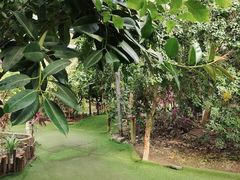 -呀路古热带植物园