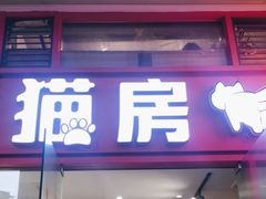 -猫房·猫吧·猫咖(龙湖时代汇店)