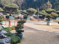 -水绘园