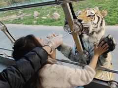 -西安秦岭野生动物园