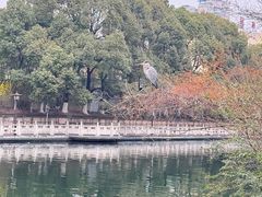 -文昌阁