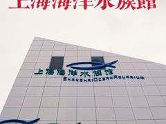 -上海海洋水族馆