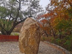 -北京西山国家森林公园