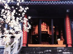 -灵谷景区