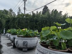 -丰台花园
