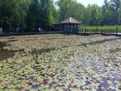 -溱湖国家湿地公园