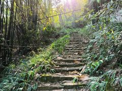 -缙云山景区