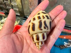 -吴记富苑(朝阳店)