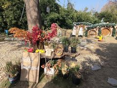 -HERRE·FARM 赫尔露营农场·团建聚会包场