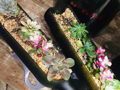 -新世界大丸百货