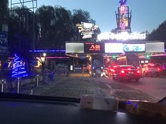 -枫花园汽车电影院(朝阳公园店)