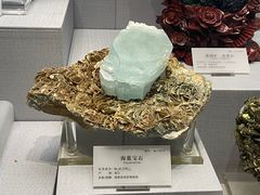 -湖南省地质博物馆