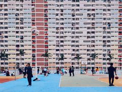 -彩虹村