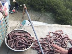 -北海金海湾红树林生态旅游区