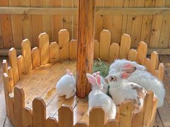 -HERRE·FARM 赫尔露营农场·团建聚会包场