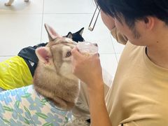 -怪兽屋·羊驼·猫咖·狗咖(俊华广场店)