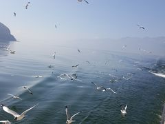 -大理洱海