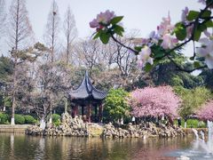 -莫愁湖公园