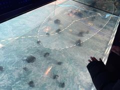 -吉林市博物馆