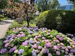 -静安公园(静安寺街道)