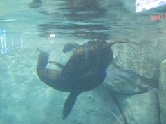 -福州罗源湾海洋世界旅游区