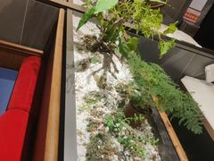 -同和居(什刹海店)
