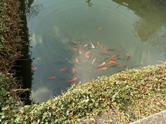 -无锡梅园公园