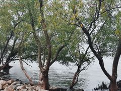 -宝安西湾红树林湿地公园