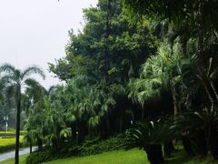 -深圳湾公园(南山区)