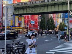 -秋叶原电器街