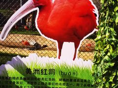 -沈阳森林动物园
