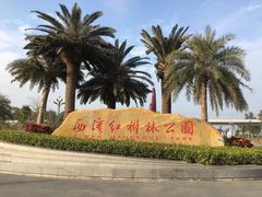 -宝安西湾红树林湿地公园