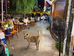 -古城苗家土菜馆(河景餐厅店)