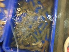 -幸福姐海鲜大排档