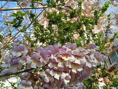 -长椿街(地铁站)