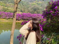 -南国桃园旅游度假区