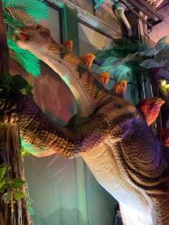 -恐龙探索乐园(磁器口店)