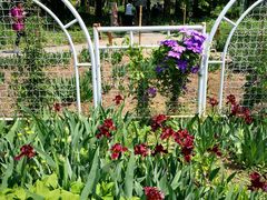 -国家植物园南园