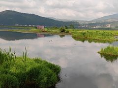 -腾冲北海湿地