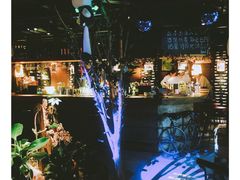 -胡桃里音乐酒馆(石家庄店)
