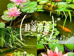-西海子公园