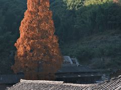-林坑古村落