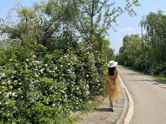 -白鹭湾湿地公园